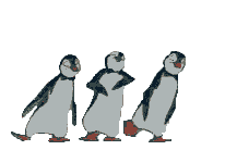 The Penguins!!!